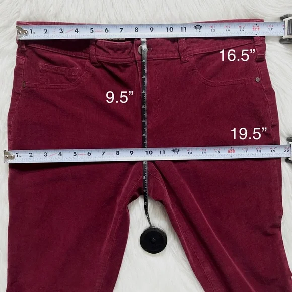SOLD-Anthropologie Burgundy Wine Micro Cord Skinny Chino Pants - Picture 9 of 11